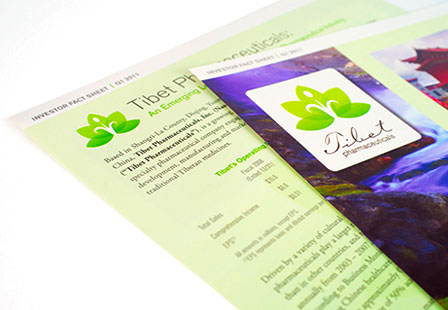 100LB Gloss Cover<br/>No Coating Brochures & Flyers