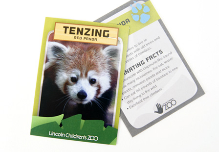 18PT C1S  Trading Cards