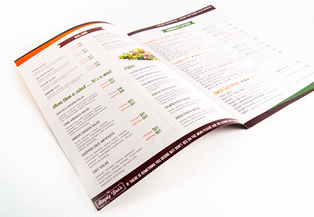 80LB Gloss Book<br/>w/ Aqueous Coating Brochures & Flyers